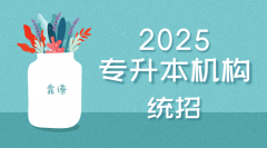 <strong>2025专升本机构规模排名：10家实榜揭秘好</strong>